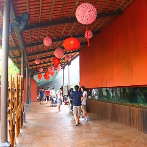 Rivers of the World - Yangtze River