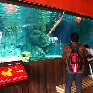 Rivers of the World - Yangtze River