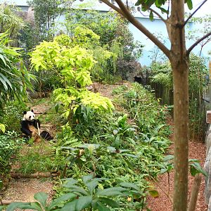 Rivers of the World - Yangtze River