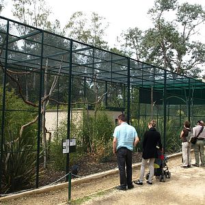 Jardin zoologique tropical