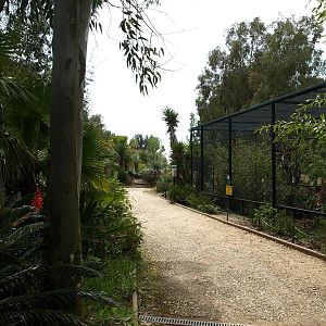 Jardin zoologique tropical