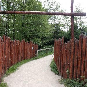 Givskud Zoo - Pygmy hippo exhibit