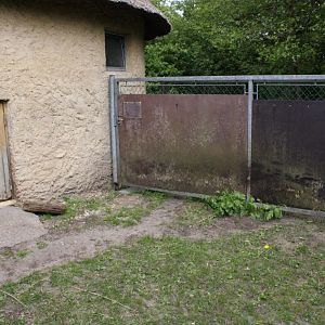 Givskud Zoo - Pygmy hippo exhibit