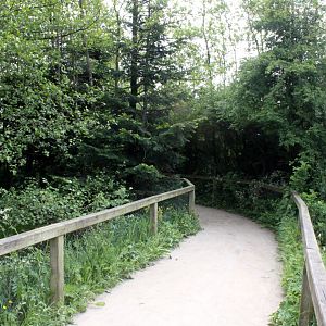 Givskud Zoo - Pygmy hippo exhibit