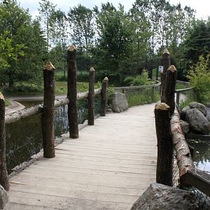Givskud Zoo - Pygmy hippo exhibit