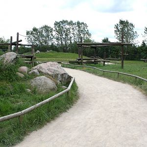 Givskud Zoo - Barbary macaque exhibit