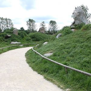 Givskud Zoo - Barbary macaque exhibit
