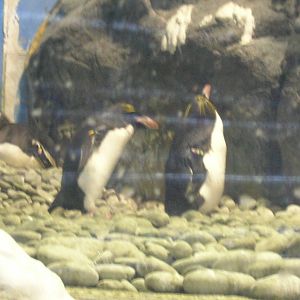 National Museum of Marine Biology and Aquarium