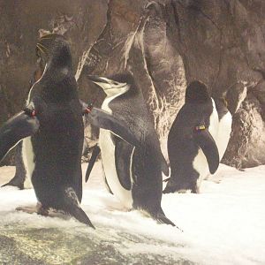 National Museum of Marine Biology and Aquarium