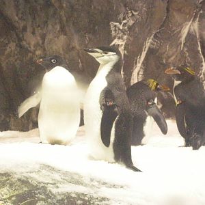 National Museum of Marine Biology and Aquarium