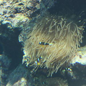 National Museum of Marine Biology and Aquarium