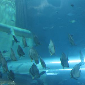 National Museum of Marine Biology and Aquarium