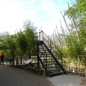 New orang viewing bridge