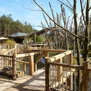 New orang viewing pathway