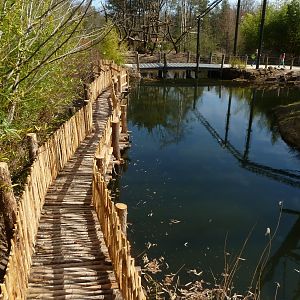 New orang viewing trail II