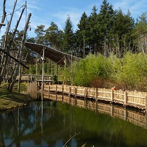 New orang viewing trail I