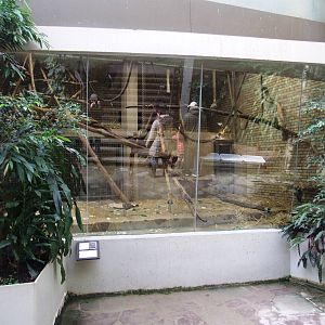 Drill Exhibit at Hannover, 23/03/13