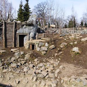 Wolf and Caribou Exhibits at Hannover, 23/03/13