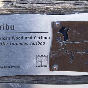 Signage Example at Hannover, 23/03/13