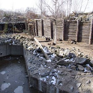 Wolf Exhibit at Hannover, 23/03/13