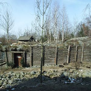 Wolf and Caribou Exhibits at Hannover, 23/03/13