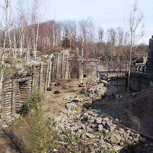Wolf Exhibit at Hannover, 23/03/13