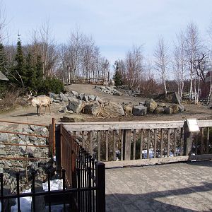 Caribou Exhibit at Hannover, 23/03/13