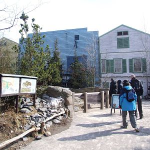 Prairie Marmot Exhibit Viewing at Hannover, 23/03/13