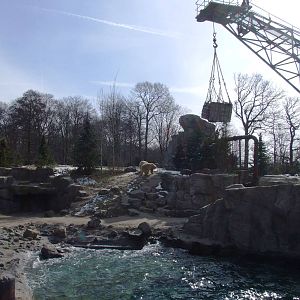Polar Bear Exhibit at Hannover, 23/03/13