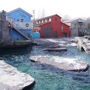 Pinniped Exhibit at Hannover, 23/03/13