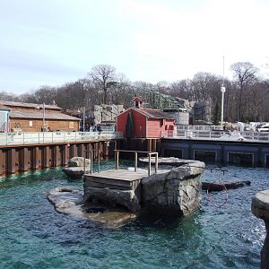Pinniped Exhibit at Hannover, 23/03/13