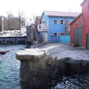 Pinniped Exhibit at Hannover, 23/03/13