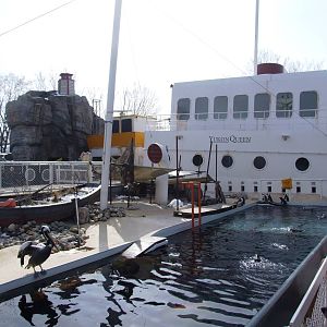 Penguin and Pelican Exhibit at Hannover, 23/03/13