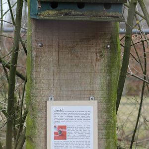 nestbox with education panel