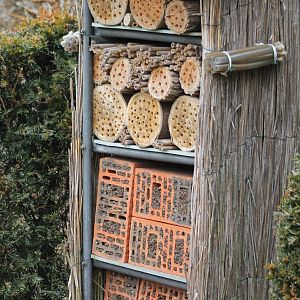 insect hotel
