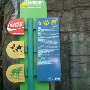 Signs for Xoloitzcuintli