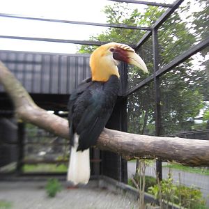 Taipei zoo