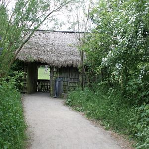 Givskud Zoo - Gorilla Exhibit