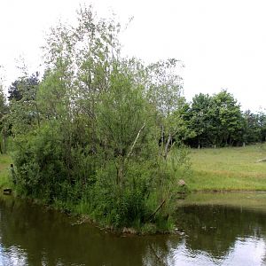 Givskud Zoo - Gorilla Exhibit (Main exhibit)