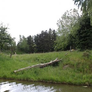 Givskud Zoo - Gorilla Exhibit (Main exhibit)