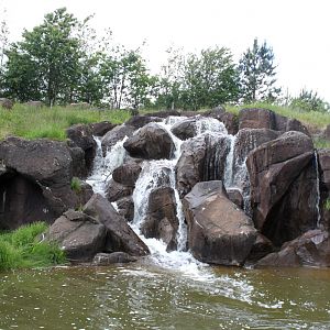 Givskud Zoo - Gorilla Exhibit (Main exhibit)