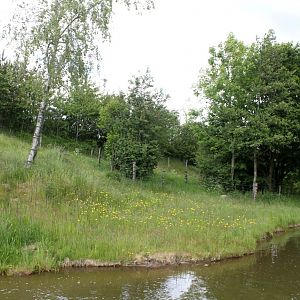 Givskud Zoo - Gorilla Exhibit (Main exhibit)