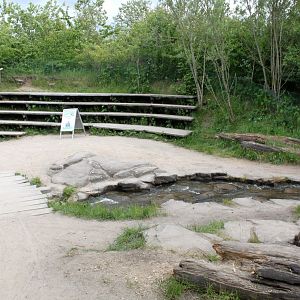 Givskud Zoo - Gorilla Exhibit (Amphiteatre)