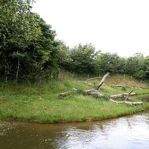 Givskud Zoo - Gorilla Exhibit (Main)