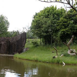 Givskud Zoo - Gorilla Exhibit (Main)