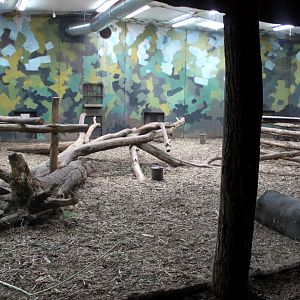 Givskud Zoo - Gorilla Exhibit (House)