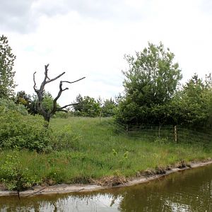 Givskud Zoo - Gorilla Exhibit (Secondary exhibit)