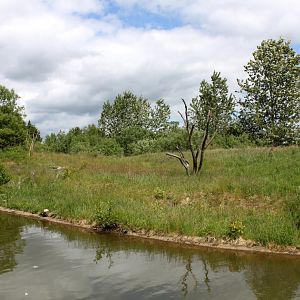 Givskud Zoo - Gorilla Exhibit (Secondary exhibit)