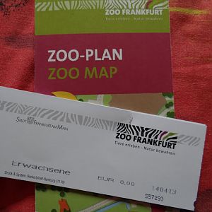 Zoo the plan and the ticket