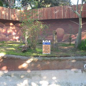 Former Lion Exhibit
